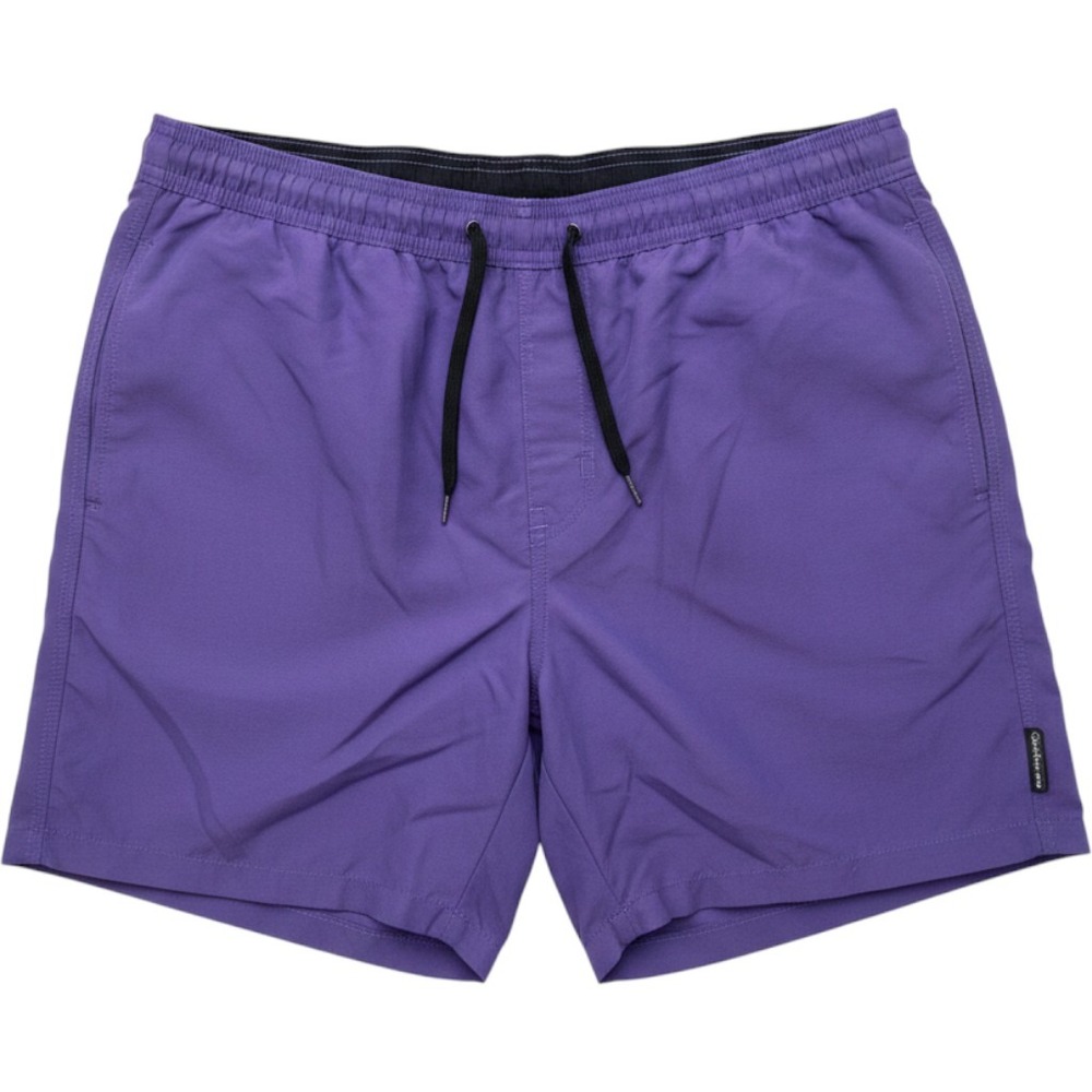 Calvin Klein Mens Purple Swim Trunks Shorts Elastic Waist XL